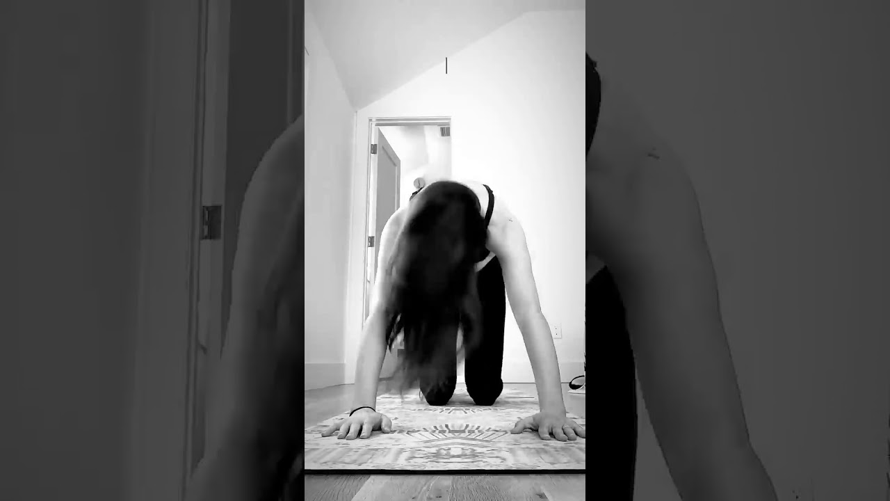 Lea Michele Yoga Timelapse 5