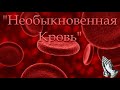 "Необыкновенная Кровь"  Е. Г. Ефремов. МСЦ ЕХБ