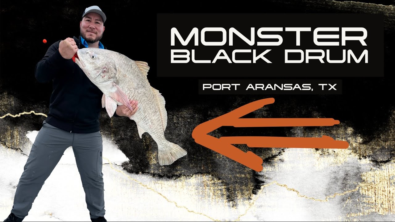 Monster Black Drum: Catch of a Lifetime