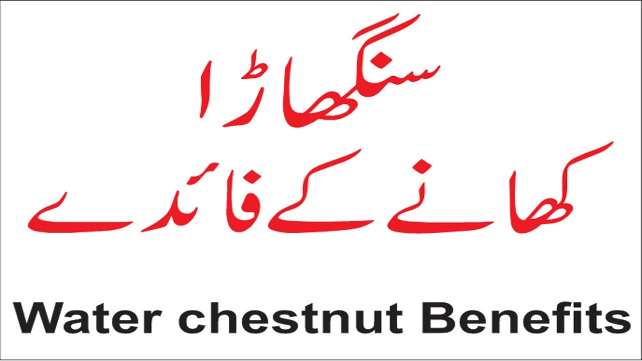 Singhare Ke Fawaid Health Benefits Of Singhara Water Chestnut singhare-ke-fawaid-health-benefits-of-singhara-water-chestnut