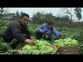 制作涪陵榨菜能将人榨干？Labor intensive while Making Fuling pickled mustard tuber