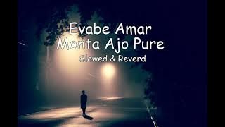 Evabe Amar Monta Ajo Pure - এভাবে আমার মনটা আজও পুরে | (Slowed & Reverb)
