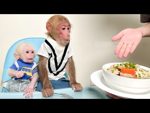 Bibi Suggested Mom Cook A Simple Soup For The Baby Monkey To Enjoy 