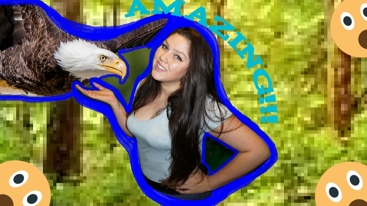 Bald Eagle + Nest by Oneida Nation of the Thames 2017!!!!!