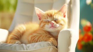 Music for Nervous Cats  Soothing Sleep Music, Deep Relaxation Music For Your Pet