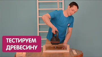 Какая древесина прочнее? Бук vs Сосна