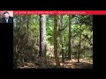 Magee Bend Loop Groveton TX 75845 MLS 56318 Magee Bend Loop Groveton TX 75845 MLS 56318