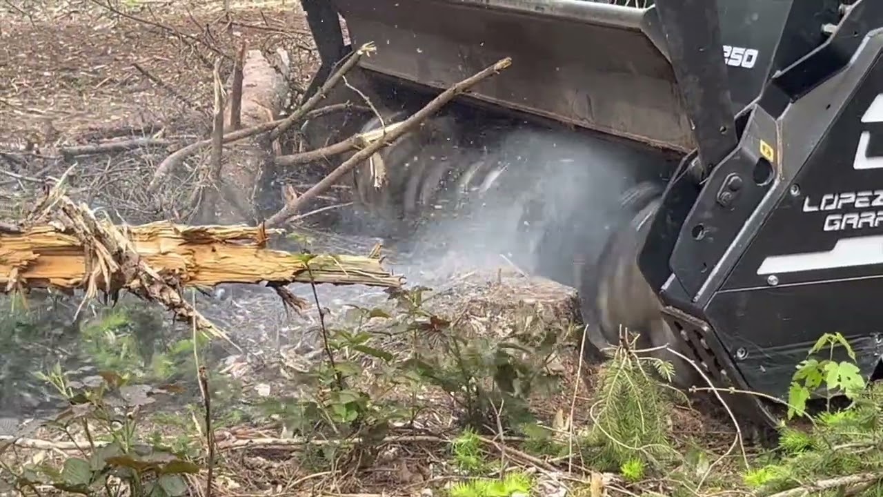 TFO - López Garrido