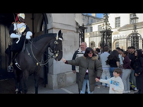"🌟 A Majestic Day at Horse Guards: 🐴 Packed with Fun and Entertainment! 🎉"