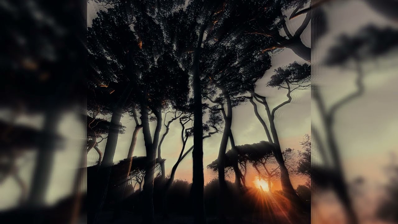 Disenthrall - Genesis (Original mix) auf YouTube ansehen Disenthrall - Genesis (Original mix) auf YouTube ansehen