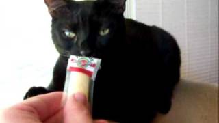 Mr. Evil Hates String Cheese