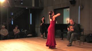 Masterclass Isabel Bayón during IV Dutch Flamenco Biennale 2013