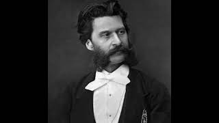 Johann Strauss Ii - Sofien-Quadrille, Op. 75