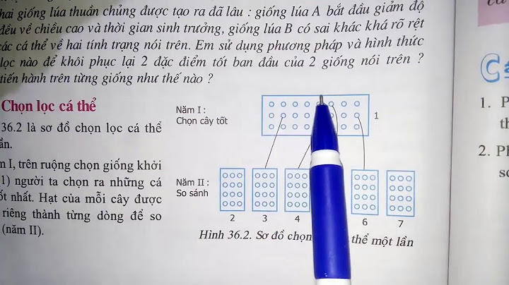 Phương pháp chọn lọc là gì năm 2024