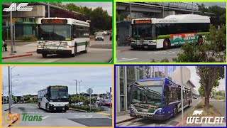 AC Transit, WestCat, Golden Gate Transit, and SolTrans busses at El Cerrito Del Norte BART.