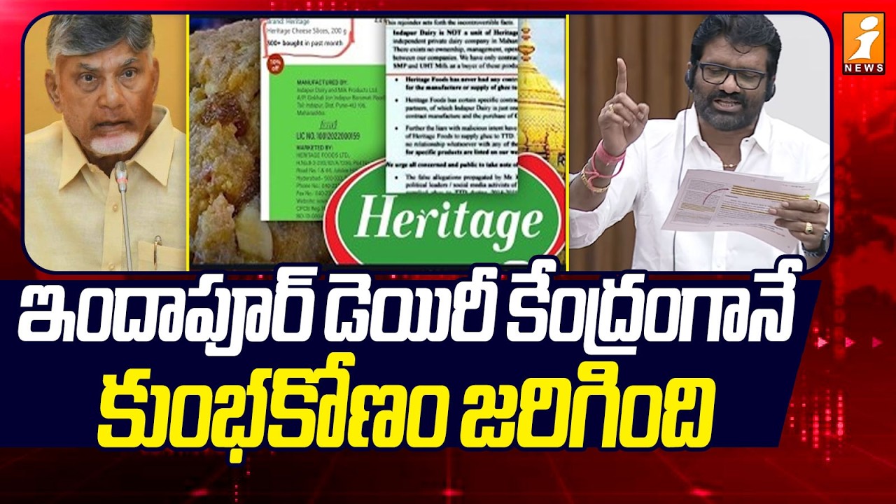 ఇందాపూర్ డెయిరీ కేంద్రంగానే కుంభకోణం జరిగింది | Indapur Dairy | laddu issue in tirumala | iNews