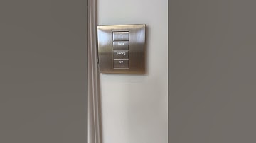 Palladium Lutron keypad with engraved smart scenes #smarthome #dubai