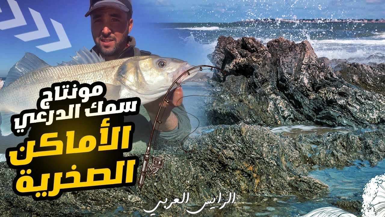 كيفية صيد السمك درعي في الأماكن الصخرية المنتاج والطعام المناسب