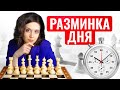 Разминка дня Тактика или стратегия 2