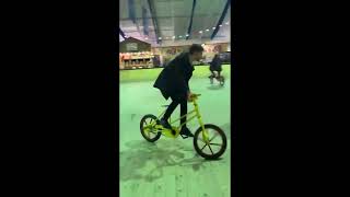 silly ahh bike