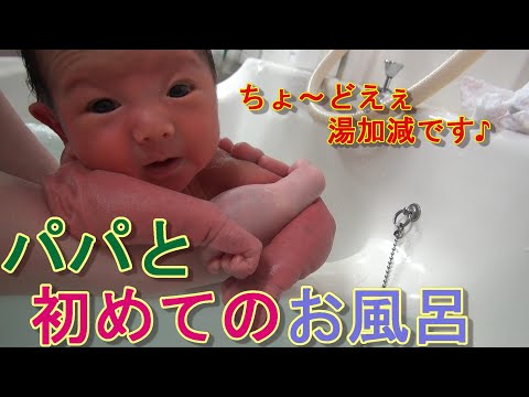 【パパ育児】【生後8日目】看護師解説～パパの新生児初沐浴[8th day after birth] Nurse commentary-Daddy's newborn baby bath【育児Vlog】