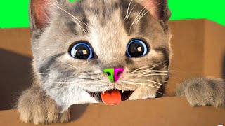 New Little Kitten Adventure 2 - Super Cartoon Cat Animation And Kittens