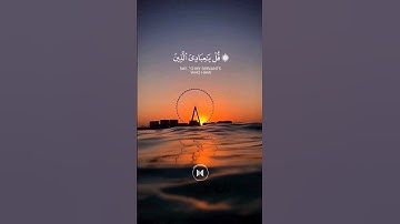 حمزة بوديب سورة الزمر، راحة نفسية عجيبة