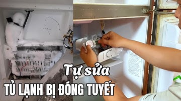 Tự sửa tủ lạnh bị đóng tuyết khiến tủ không lạnh