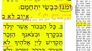 חולין קלז 137 שבת ח׳ ניסן התשעט שמואל נבון Daf yomi Chullin daf 136 קלז. Shmuel Navon