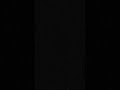 Abstract Loop Visual #shorts