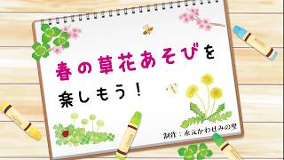 春の草花あそびを楽しもう！ - YouTube