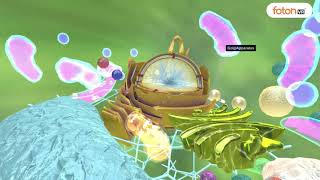 VR Tour For Std  9 Ch  5  The Fundamental Unit of Life screenshot 2