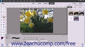 Photoshop Elements 13 Tutorial The Clone Stamp Tool Adobe Training