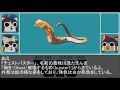 エイリアンを解説してみました:エッグ~成体エイリアン編