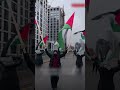 4 Minute Pro Palestine Protest On Toronto Freeway 4 Minute Pro Palestine Protest On Toronto Freeway