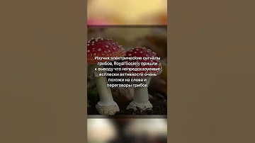 Грибы разговаривают, а вы этого не знали!?