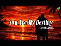 You Are My Destiny Romantic Love Songs Beautiful Love Songs Playlist Lyric Video 