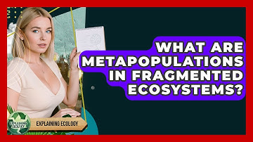 What Are Metapopulations In Fragmented Ecosystems? - Explaining Ecology