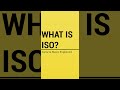 What is ISO? Camera Basics Explained #Shorts