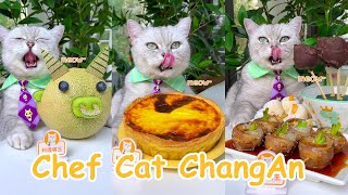“Chef Cat ChangAn” Yummy Recipes In JUNE😽(ASMR)  | Easy Food Recipes | Cat Cooking-TikToks