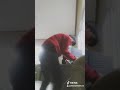 كهرباء نار تكهربت كهرباء نار تكهربت