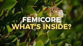FemiCore Ingredients Explained: Full Formula Breakdown & Benefits 2026
