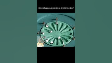 simple harmonic motion in action