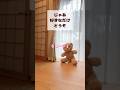 【イヤなんやろ?】じゃあ好きなだけどうぞ