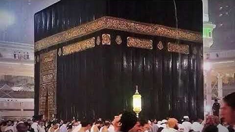 الشيخ قاسم شبلي سورة الطور