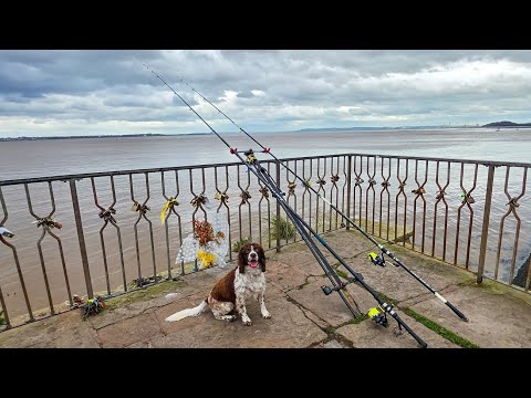 A Quick Trip to the Mersey… And the Fish Kept Coming!
