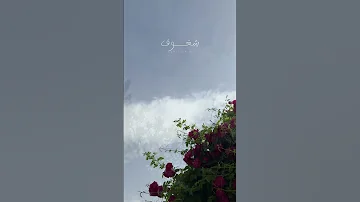 قلبي إلى لقيا الحبيب شغوف اكسبلور ترند لايك محمد صلي الله عليه وسلم الجمعة اسلاميات بدون موسيقى 
