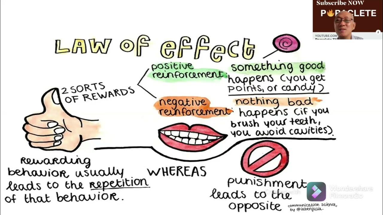 Connectionism (Law of Exercise and Readiness) Edward Thorndike YouTube