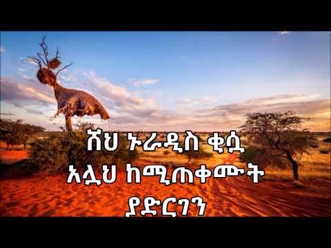 ቪዲዮ: በኔድ ካን ሥራ ውስጥ ተፈጥሮን ማደንዘዝ