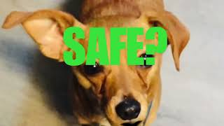 Fake CAPTCHA Scam Awareness #cybersecurity